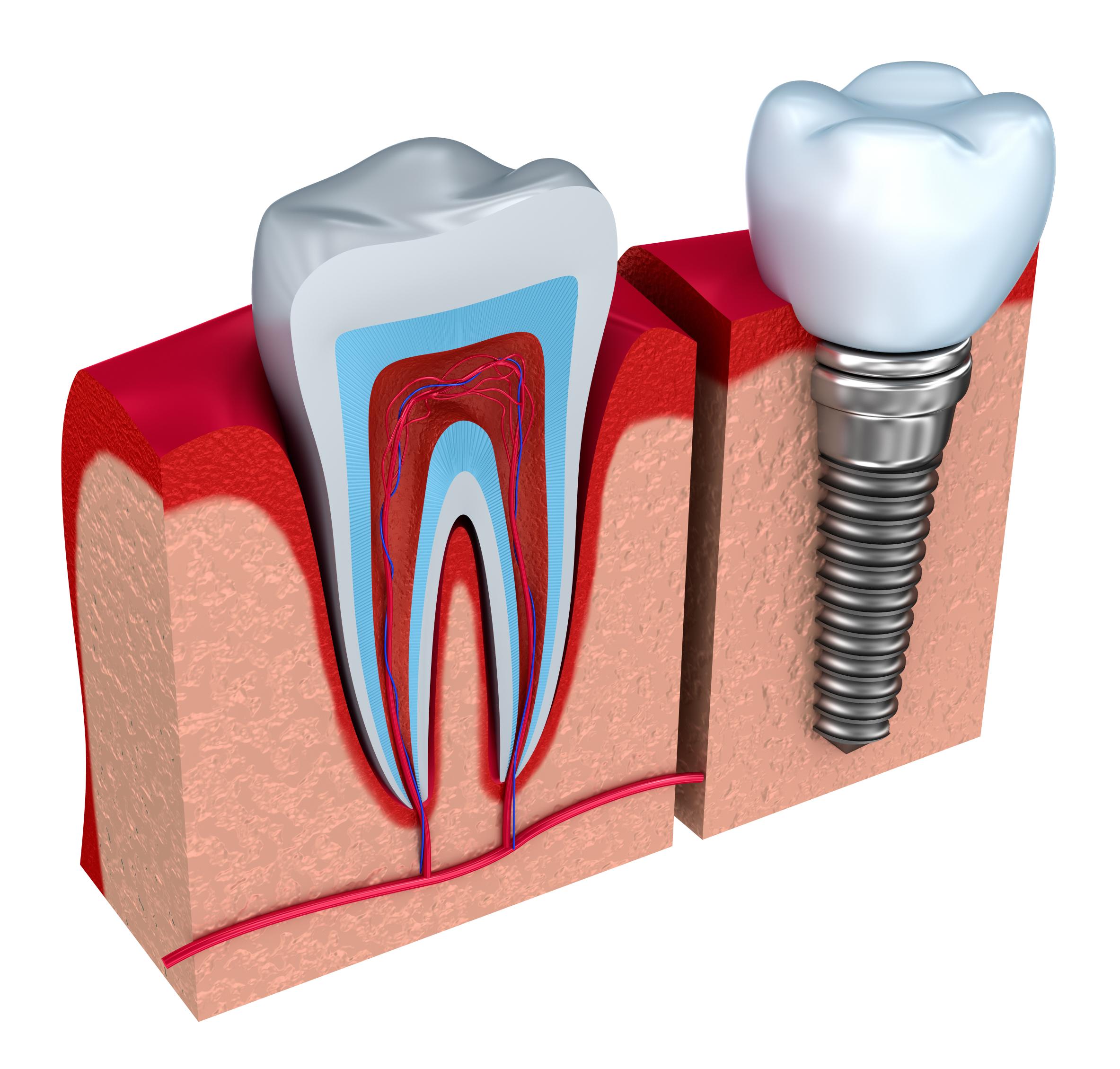 Boutique Dental Boutique Dental