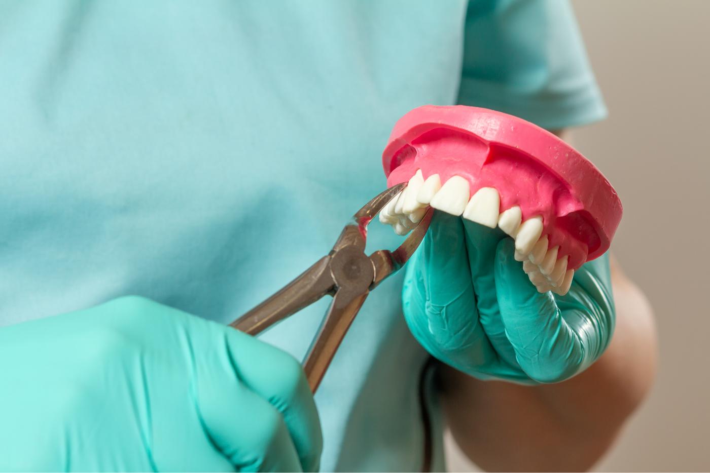 Boutique Dental Boutique Dental