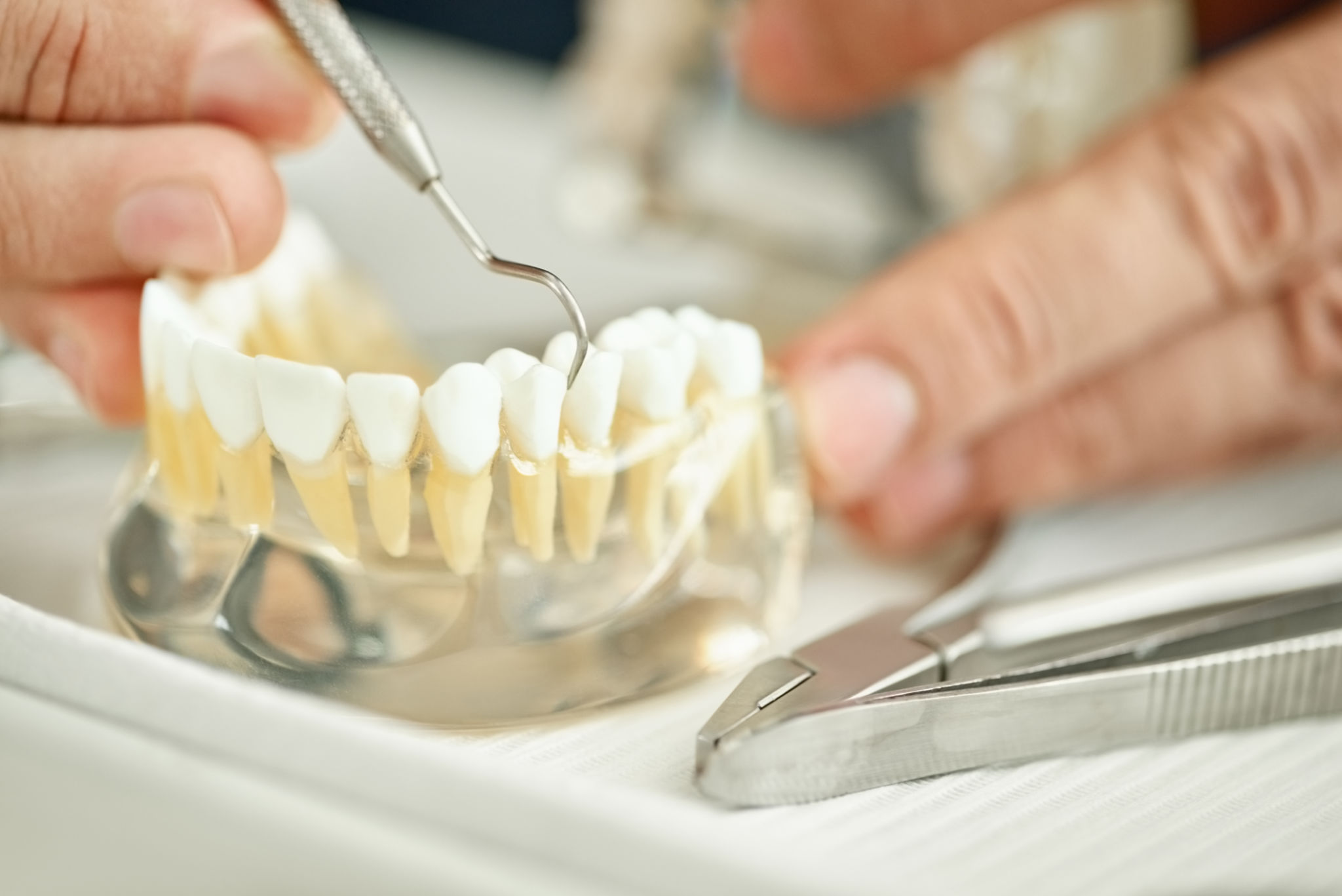 Boutique Dental Boutique Dental