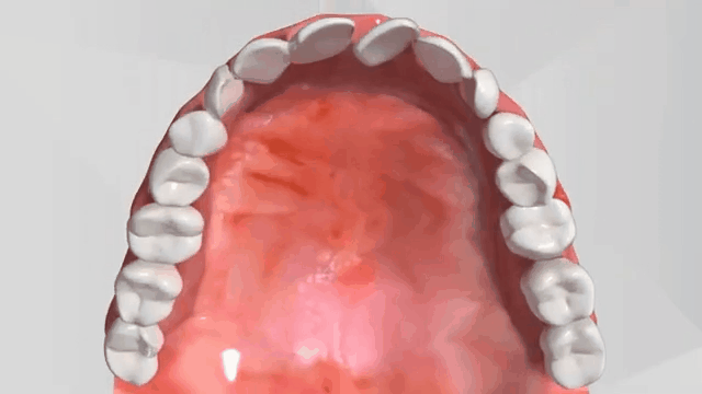 Boutique Dental Boutique Dental