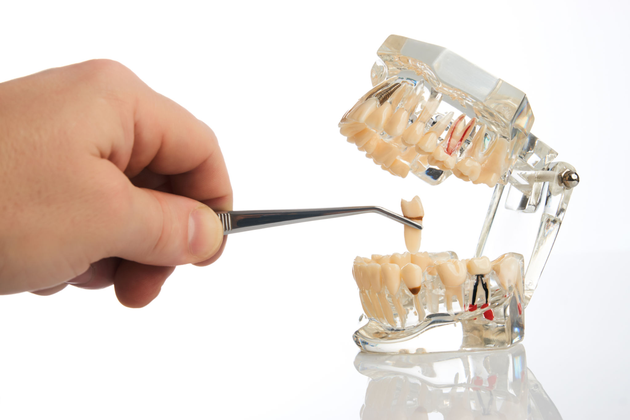 Boutique Dental Boutique Dental