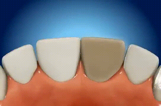 Boutique Dental Boutique Dental
