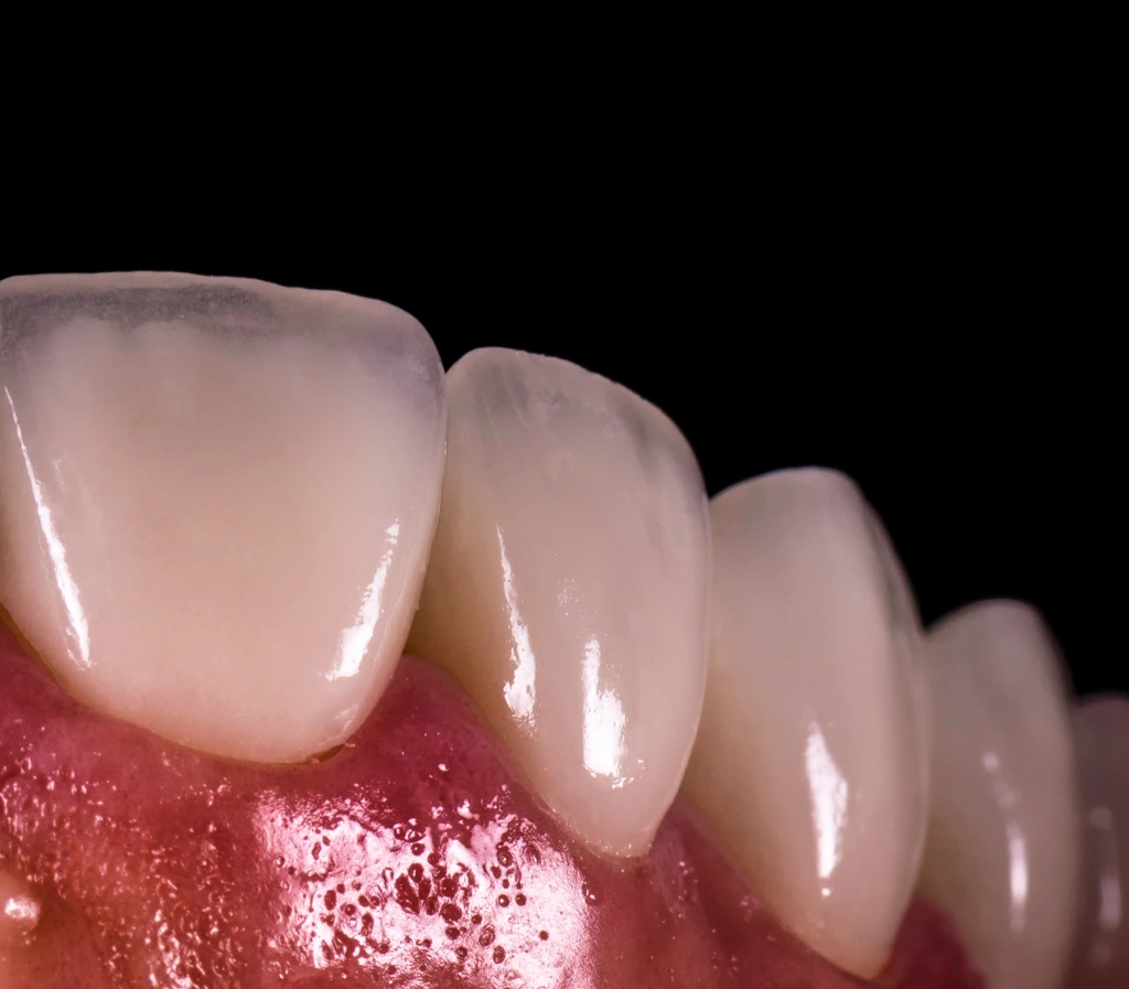 AdobeStock_271071430 1