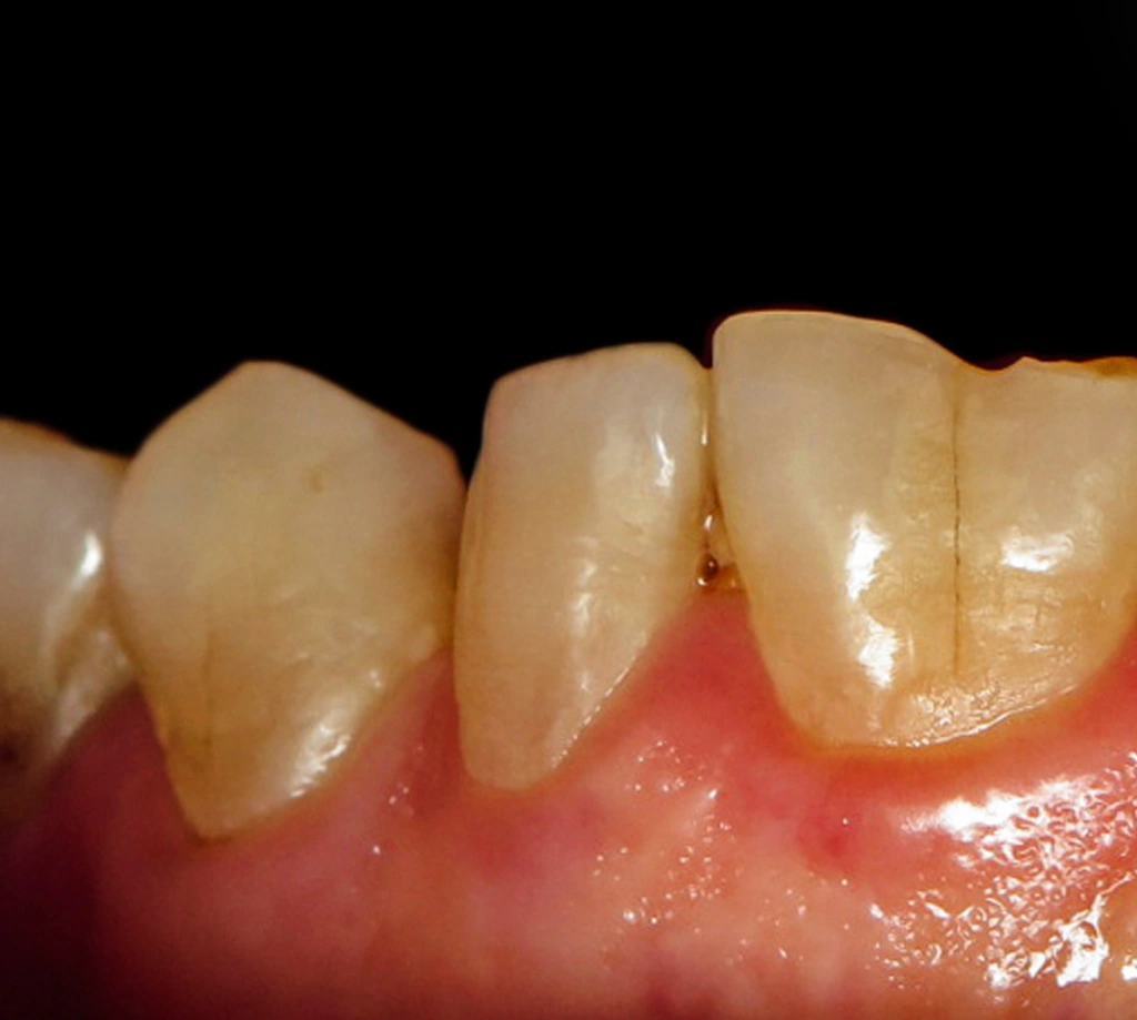 AdobeStock_271071430 2